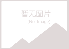 黄山黄山迷茫能源有限公司